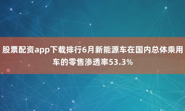 股票配资app下载排行6月新能源车在国内总体乘用车的零售渗透率53.3%