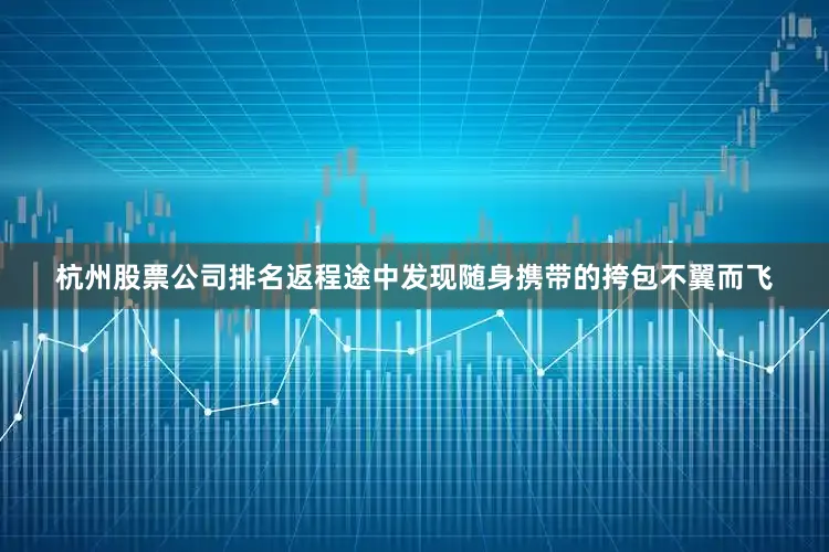 杭州股票公司排名返程途中发现随身携带的挎包不翼而飞