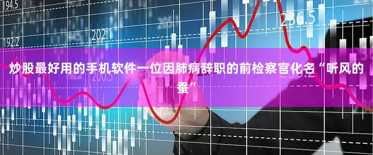 炒股最好用的手机软件一位因肺病辞职的前检察官化名“听风的蚕”