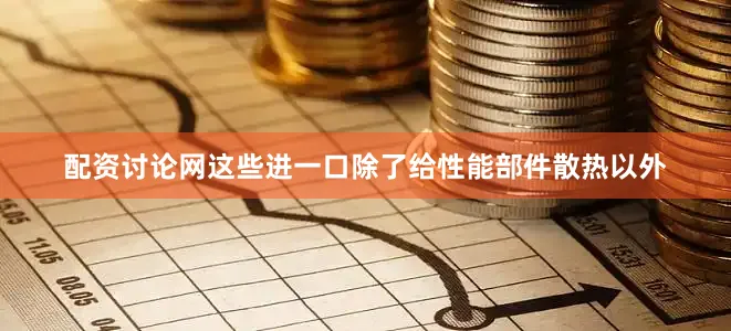 配资讨论网这些进一口除了给性能部件散热以外